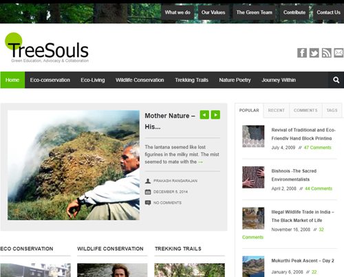 Tree Souls