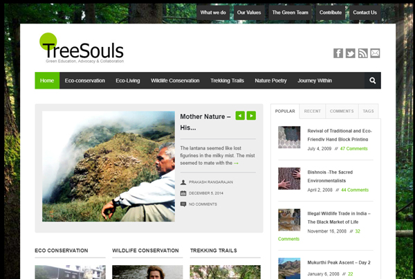 Tree Souls